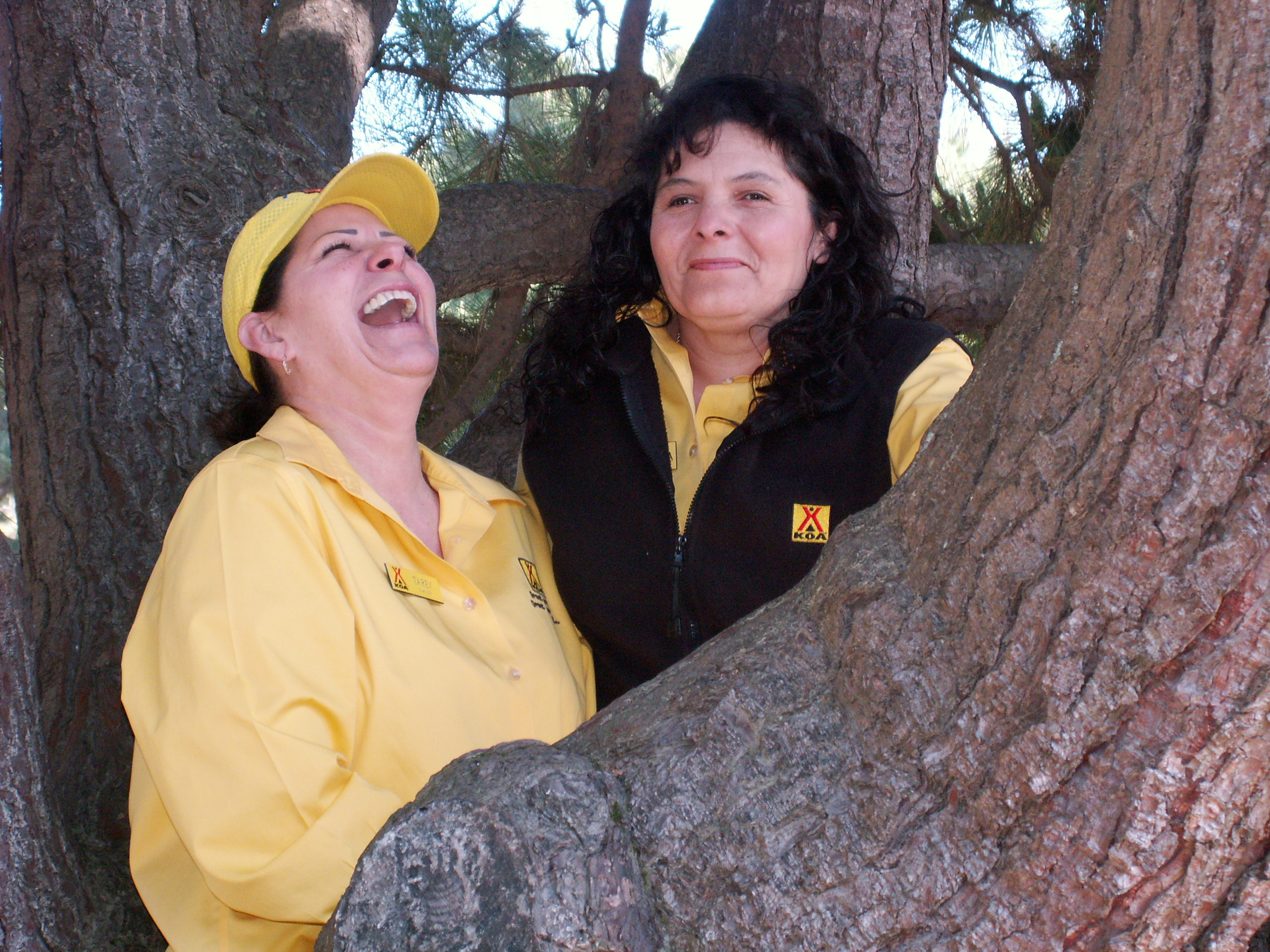 Manchester Beach / Mendocino Coast KOA Journey