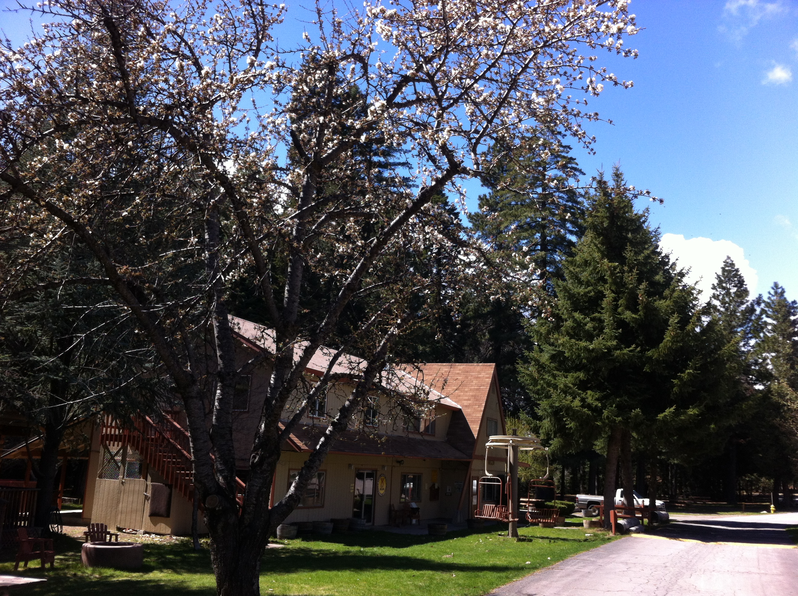 Mount Shasta City KOA Holiday