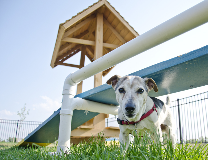 Rapid City / Black Hills KOA Holiday