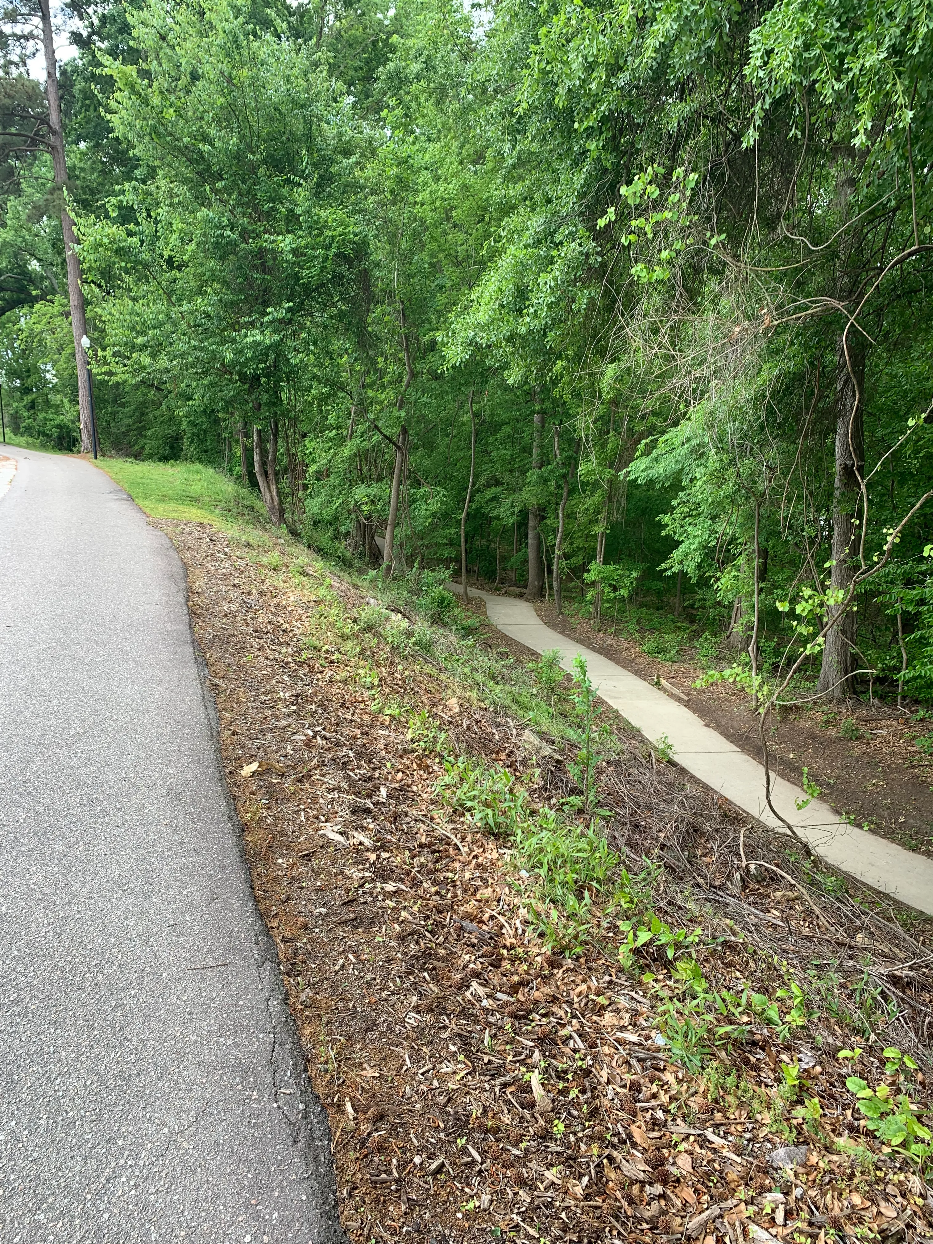 Explore Columbia Riverfront Park