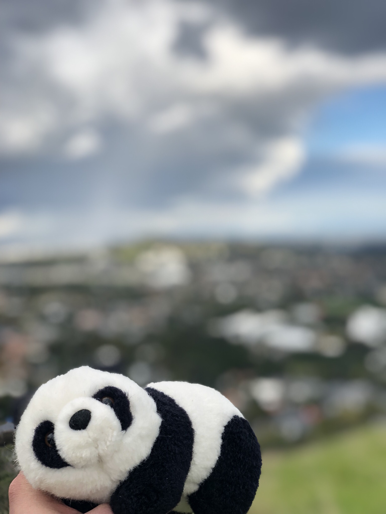 Sunset Hike Mount Eden