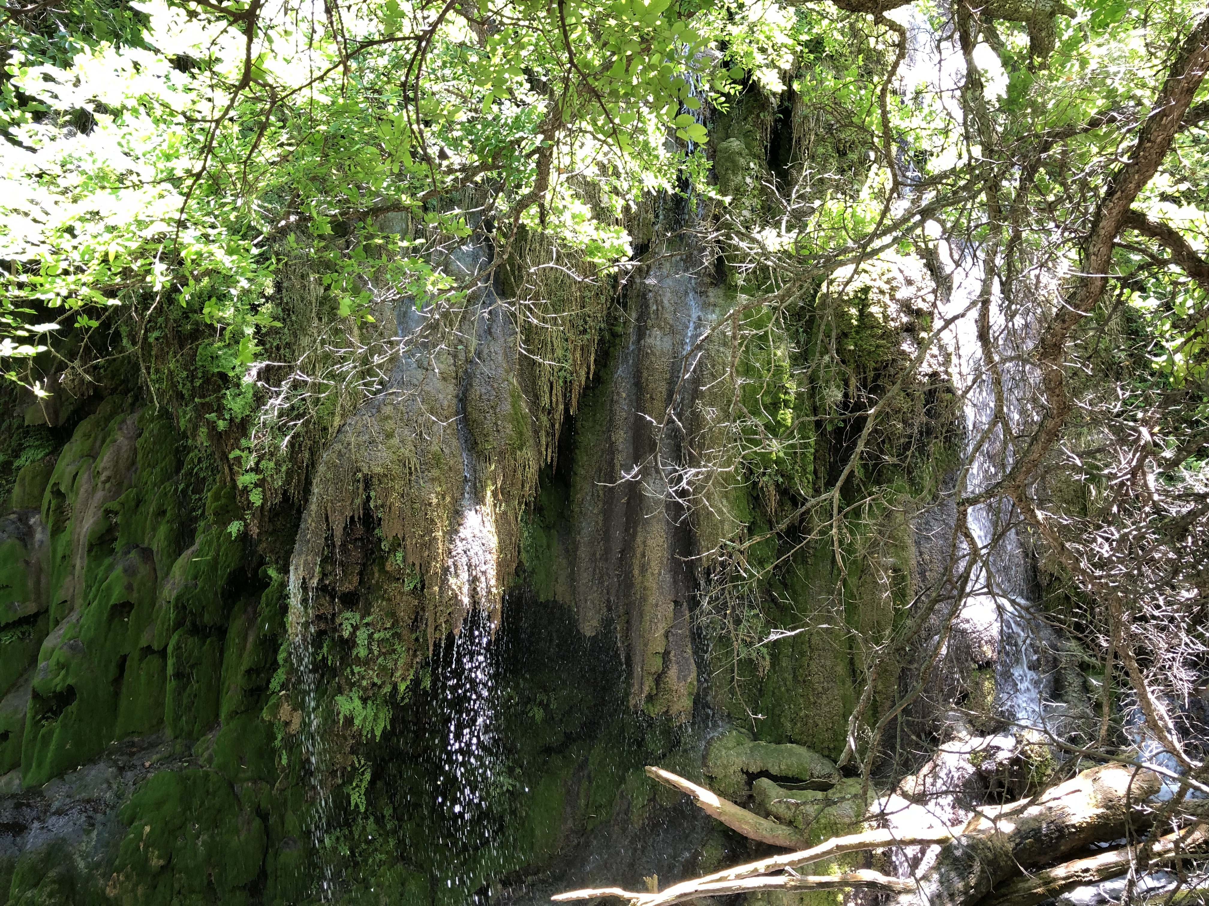 Gorman Falls