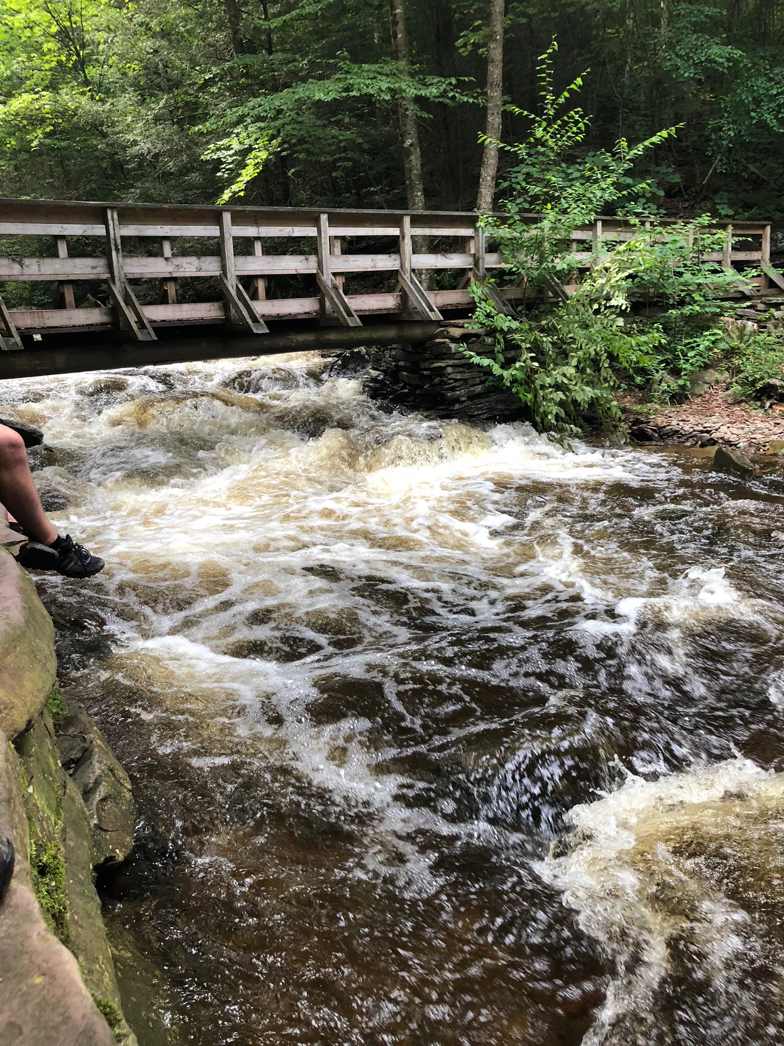 Camp at Ricketts Glen