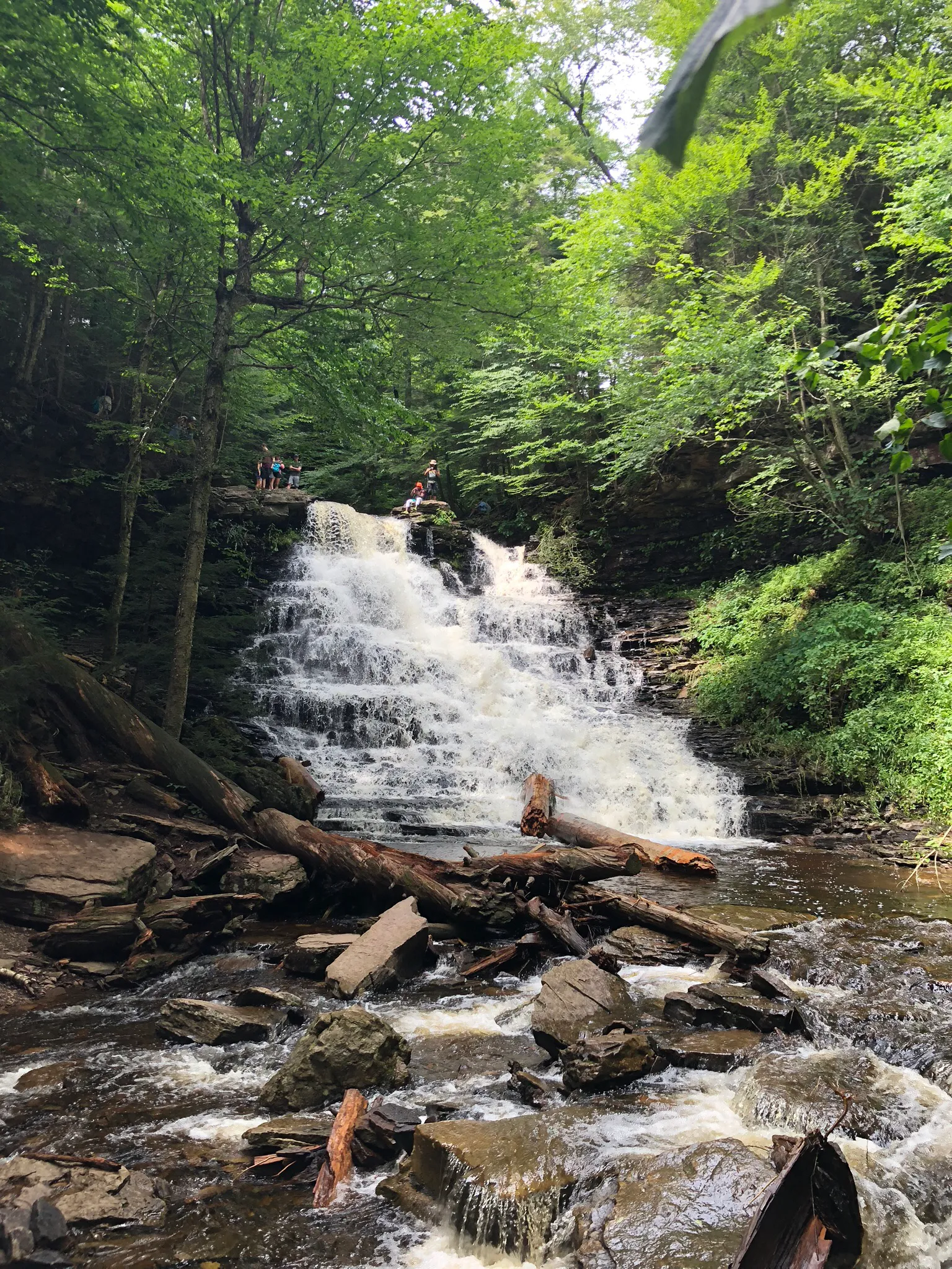 Camp at Ricketts Glen