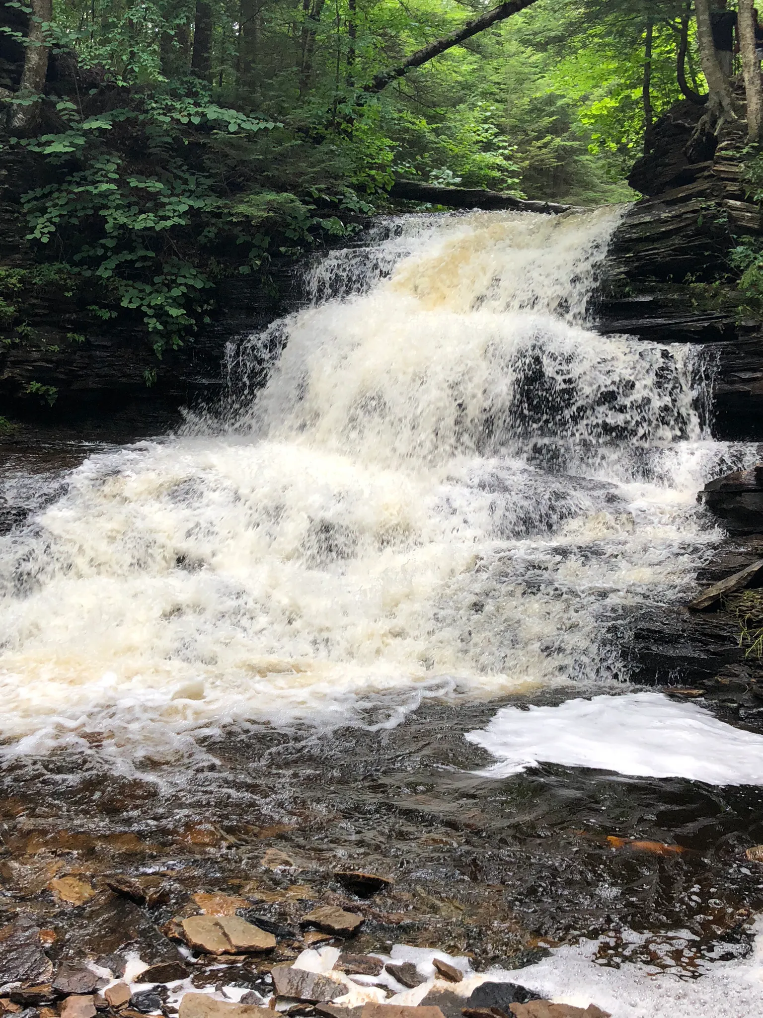 Camp at Ricketts Glen