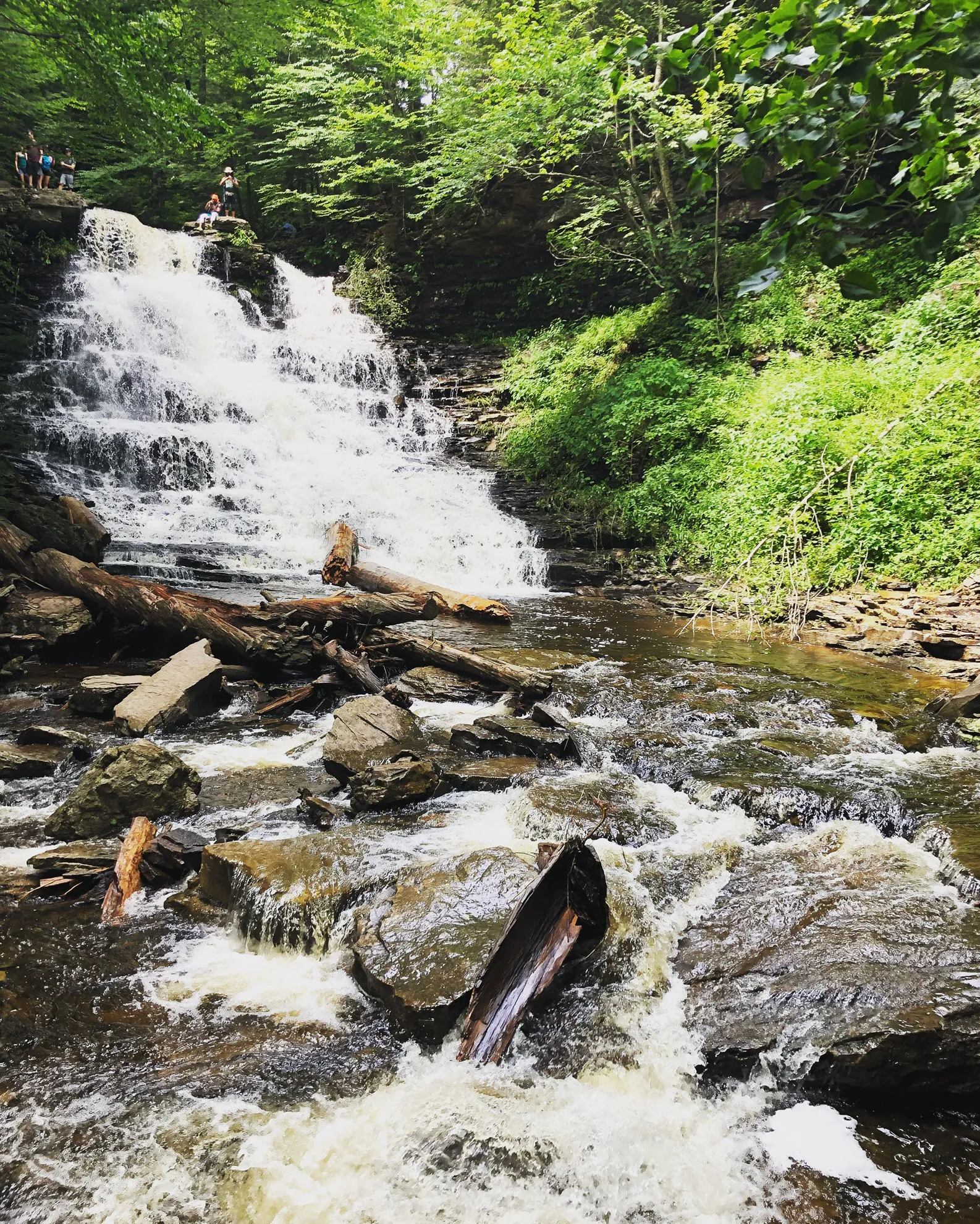 Camp at Ricketts Glen