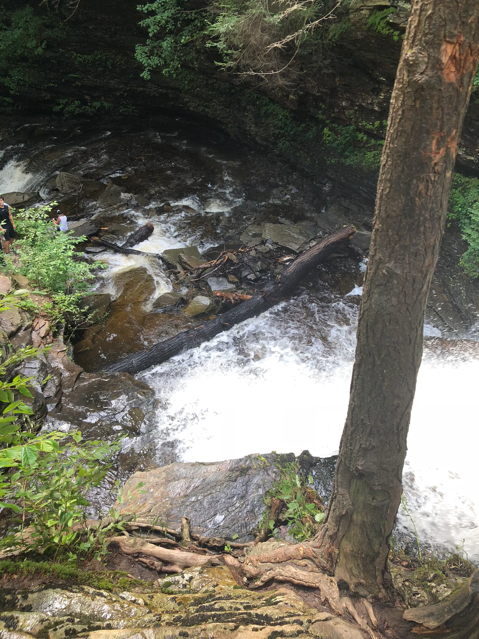 Camp at Ricketts Glen