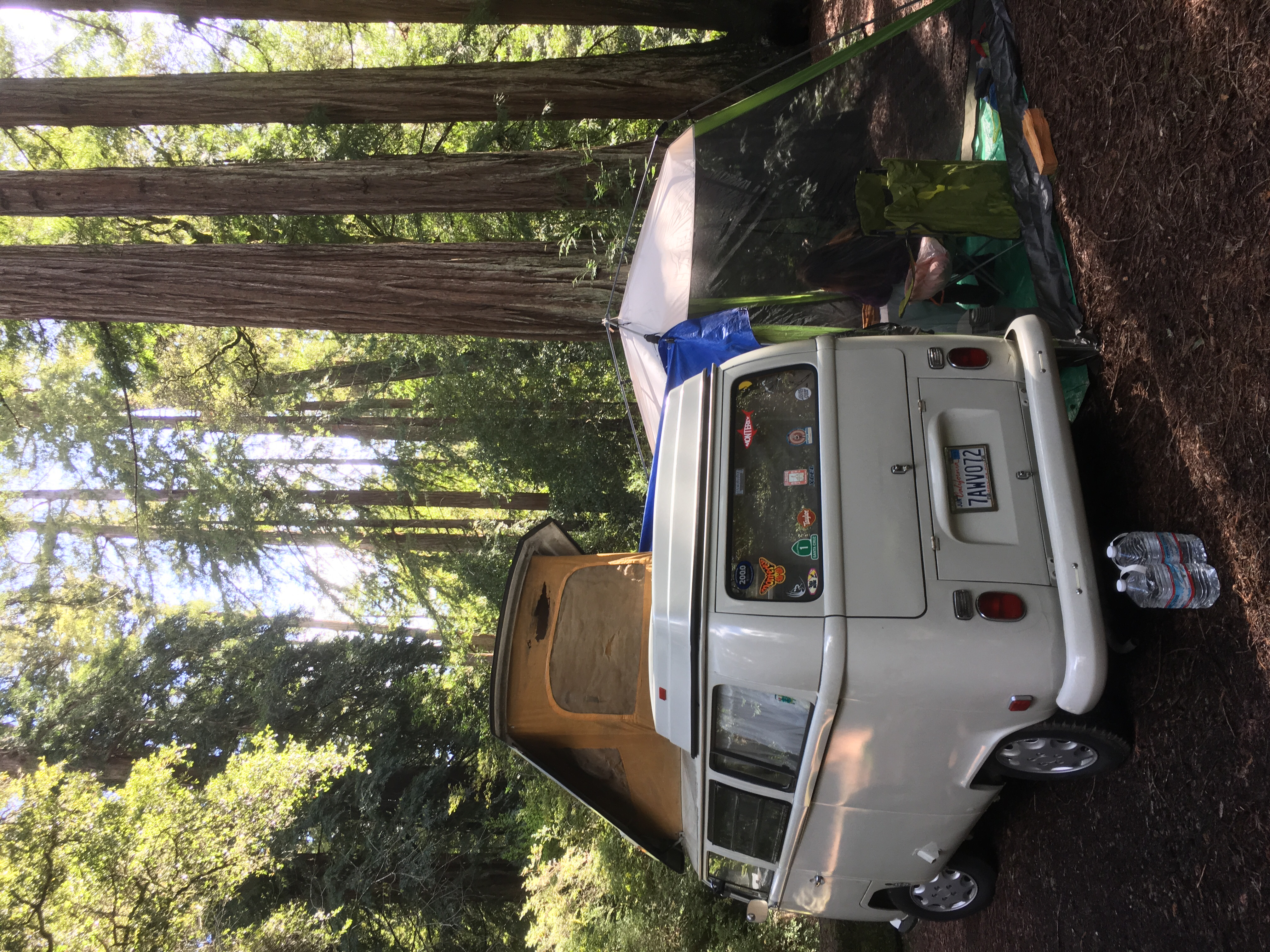  Camp Under the Redwoods at Memorial Park 