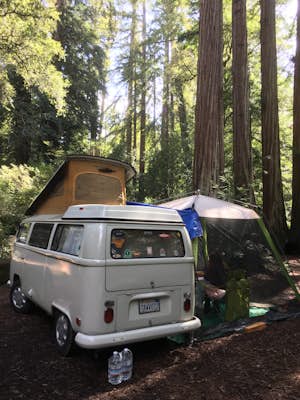  Camp Under the Redwoods at Memorial Park 