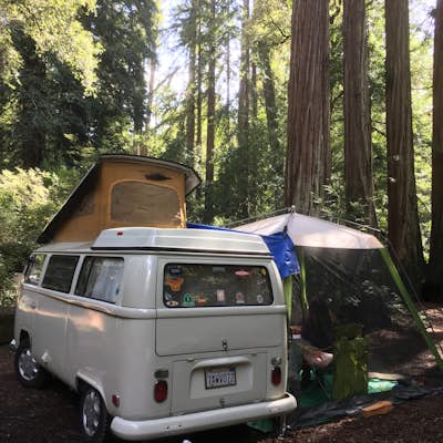  Camp Under the Redwoods at Memorial Park 