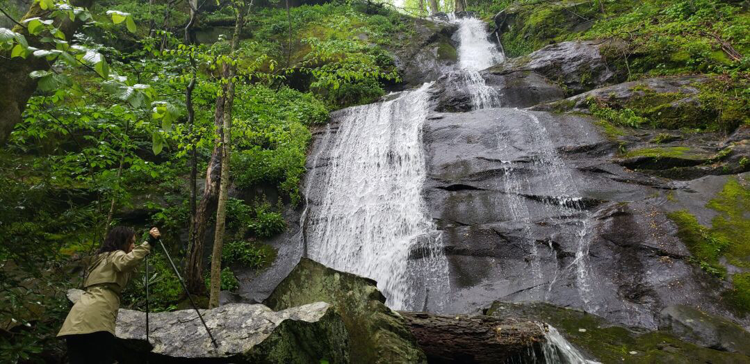 Fern Branch Falls