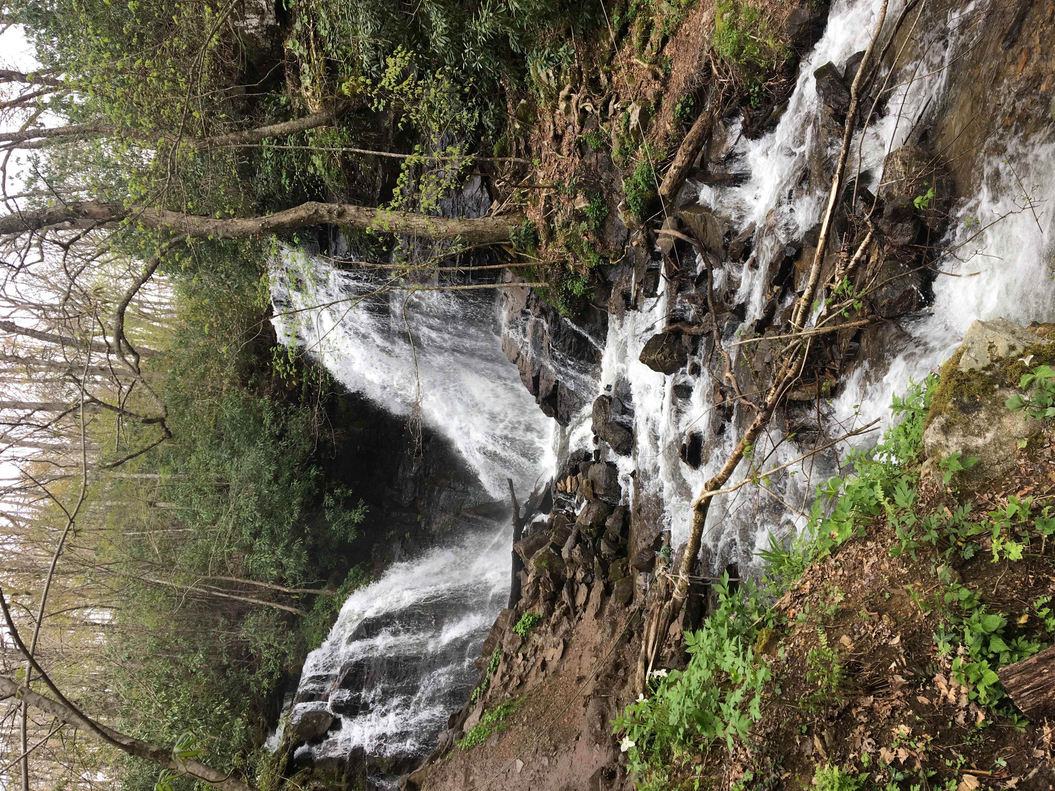 Soco Falls