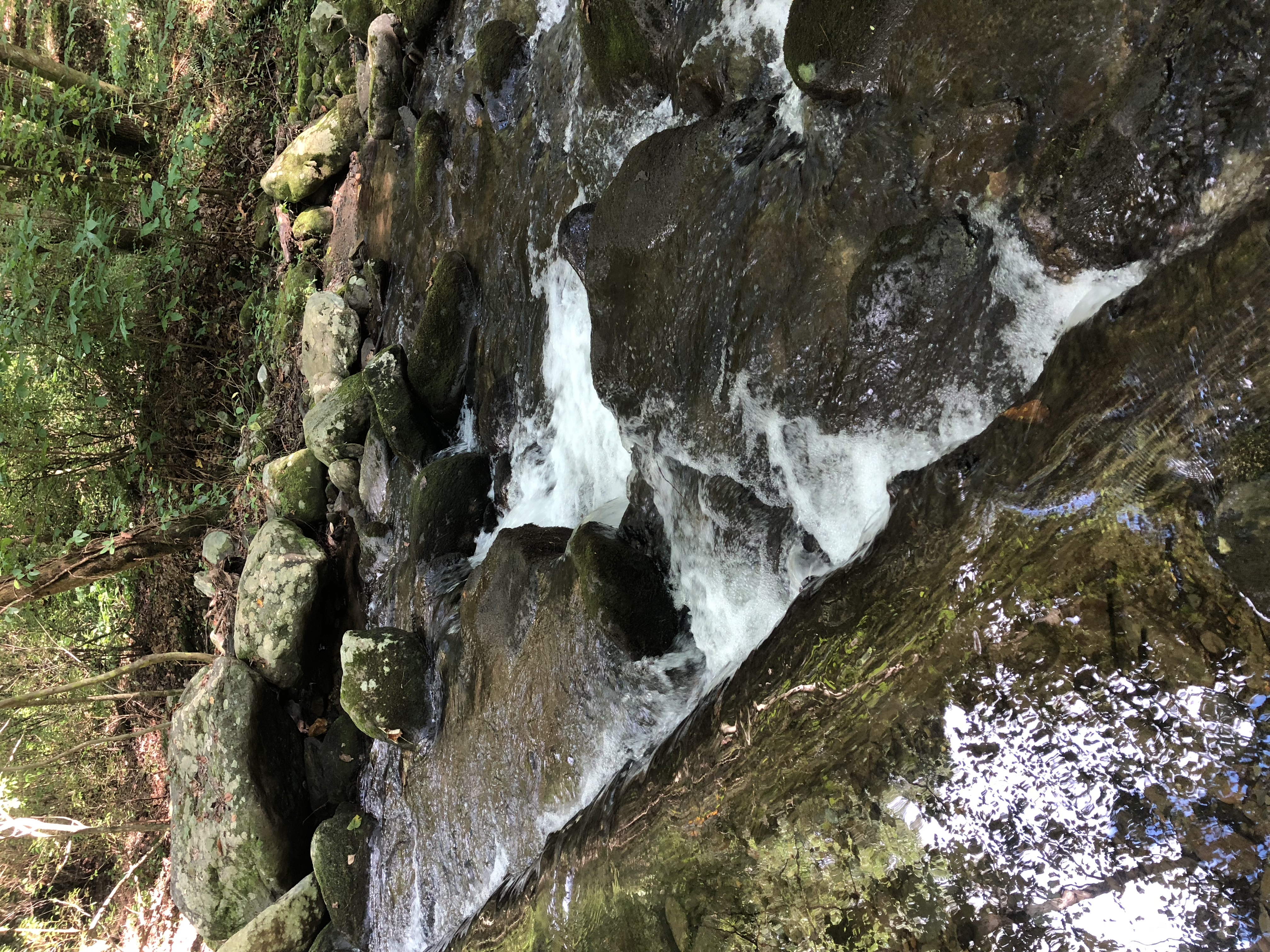 Emery Creek Falls