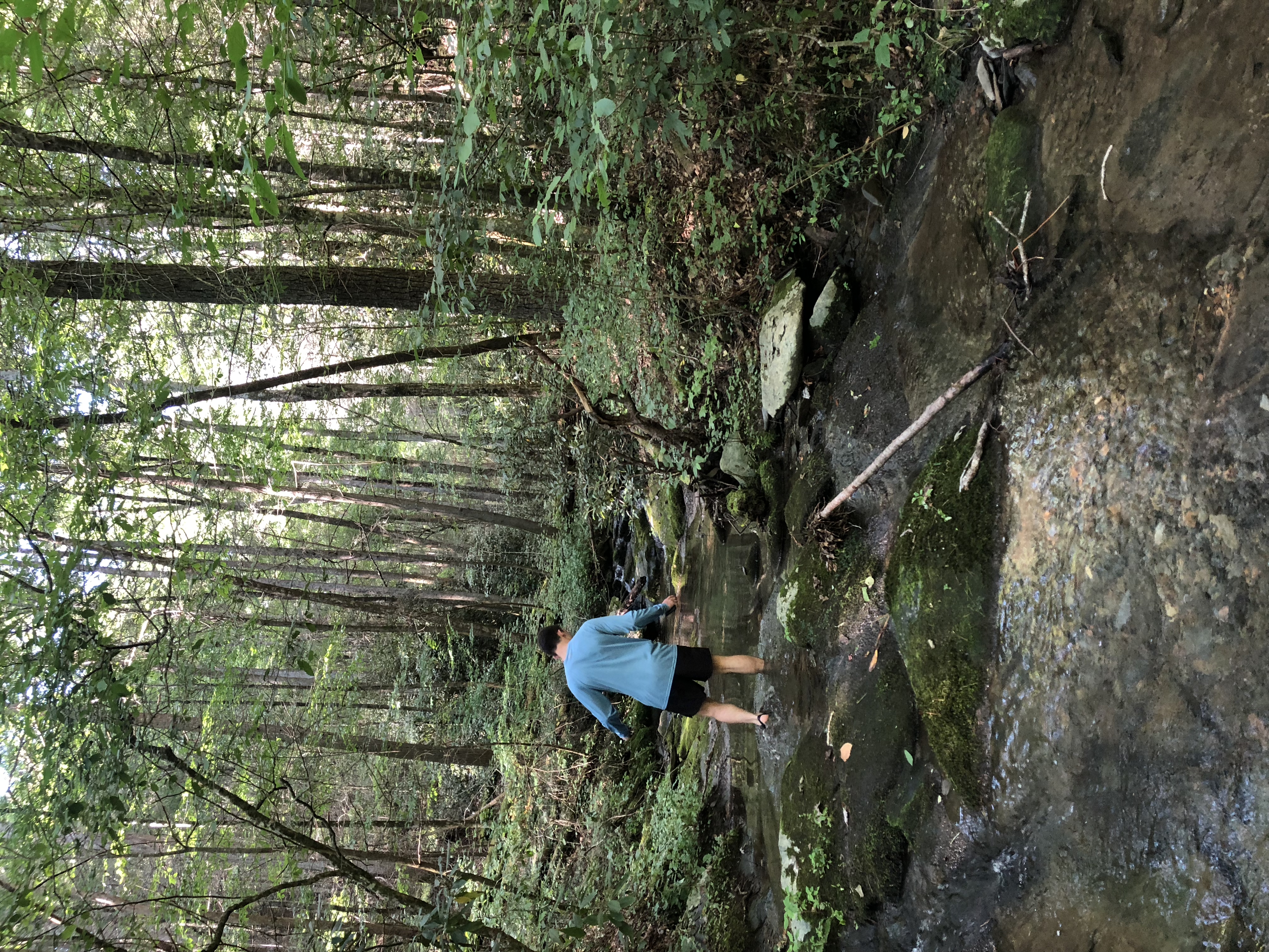 Emery Creek Falls