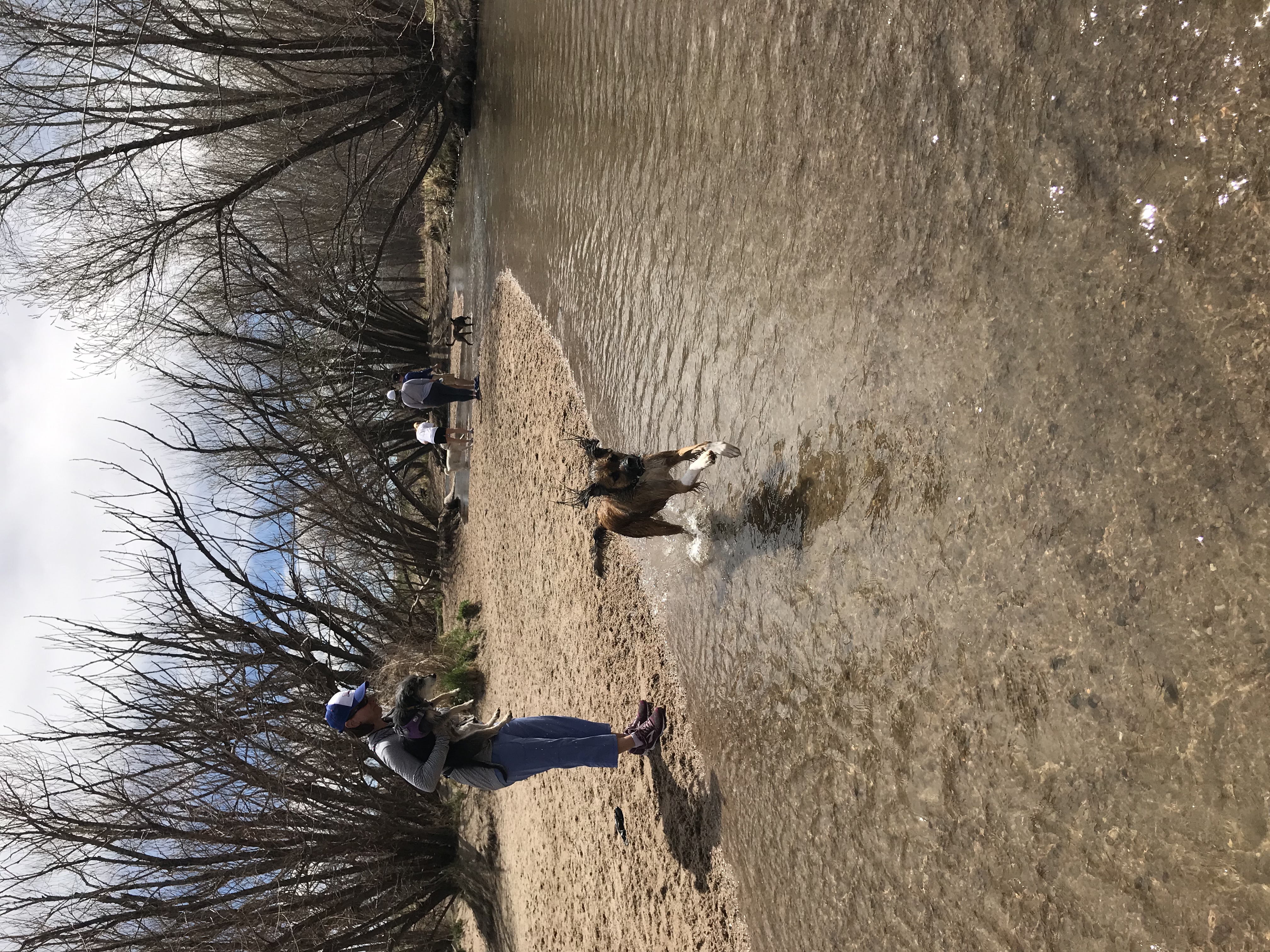 Cherry Creek Dog Off-Leash Area