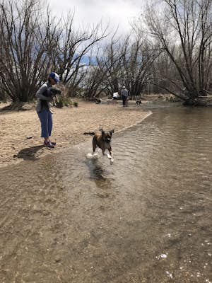 Walk the Cherry Creek Dog Off-Leash Area