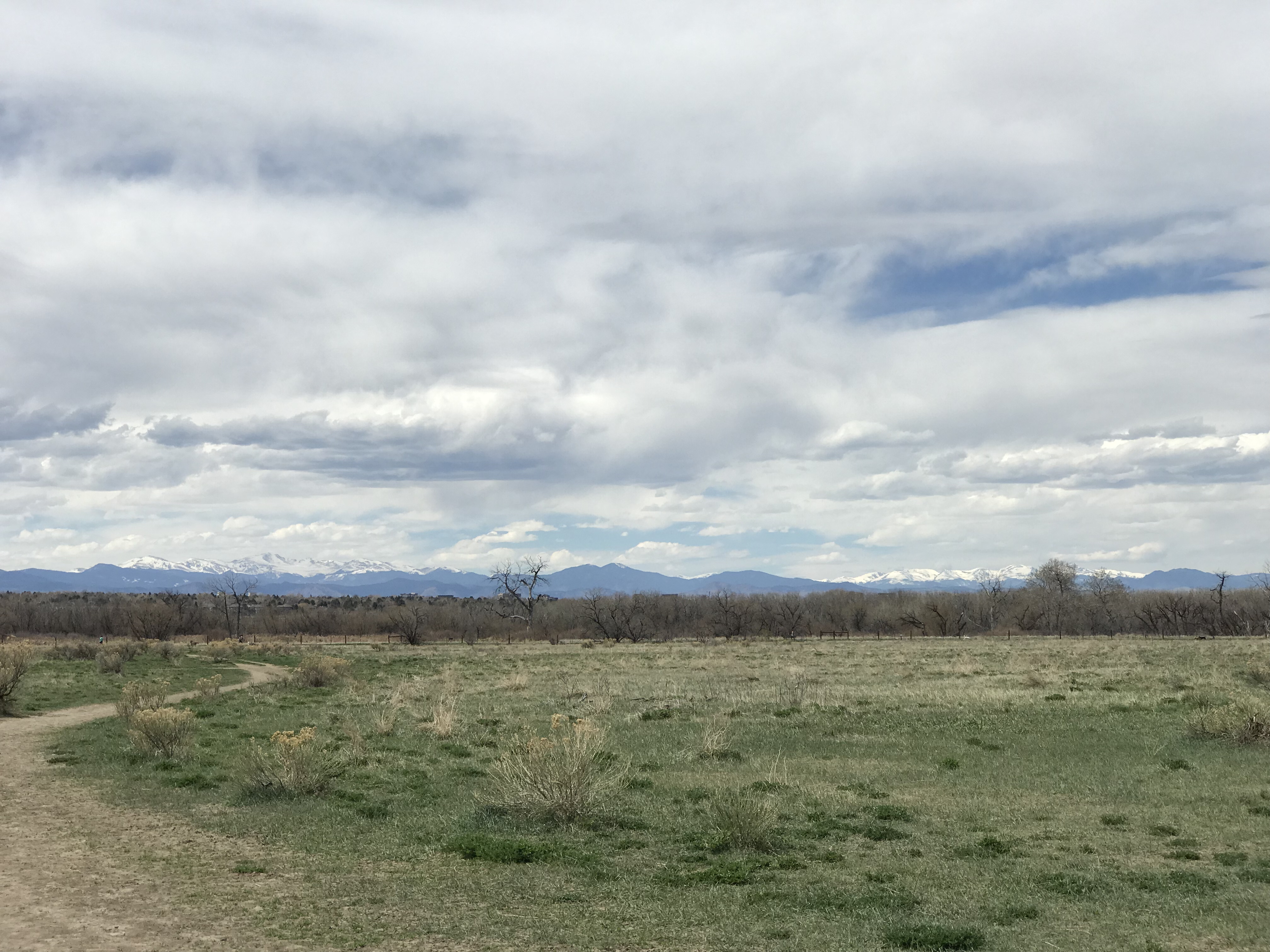 Cherry Creek Dog Off-Leash Area