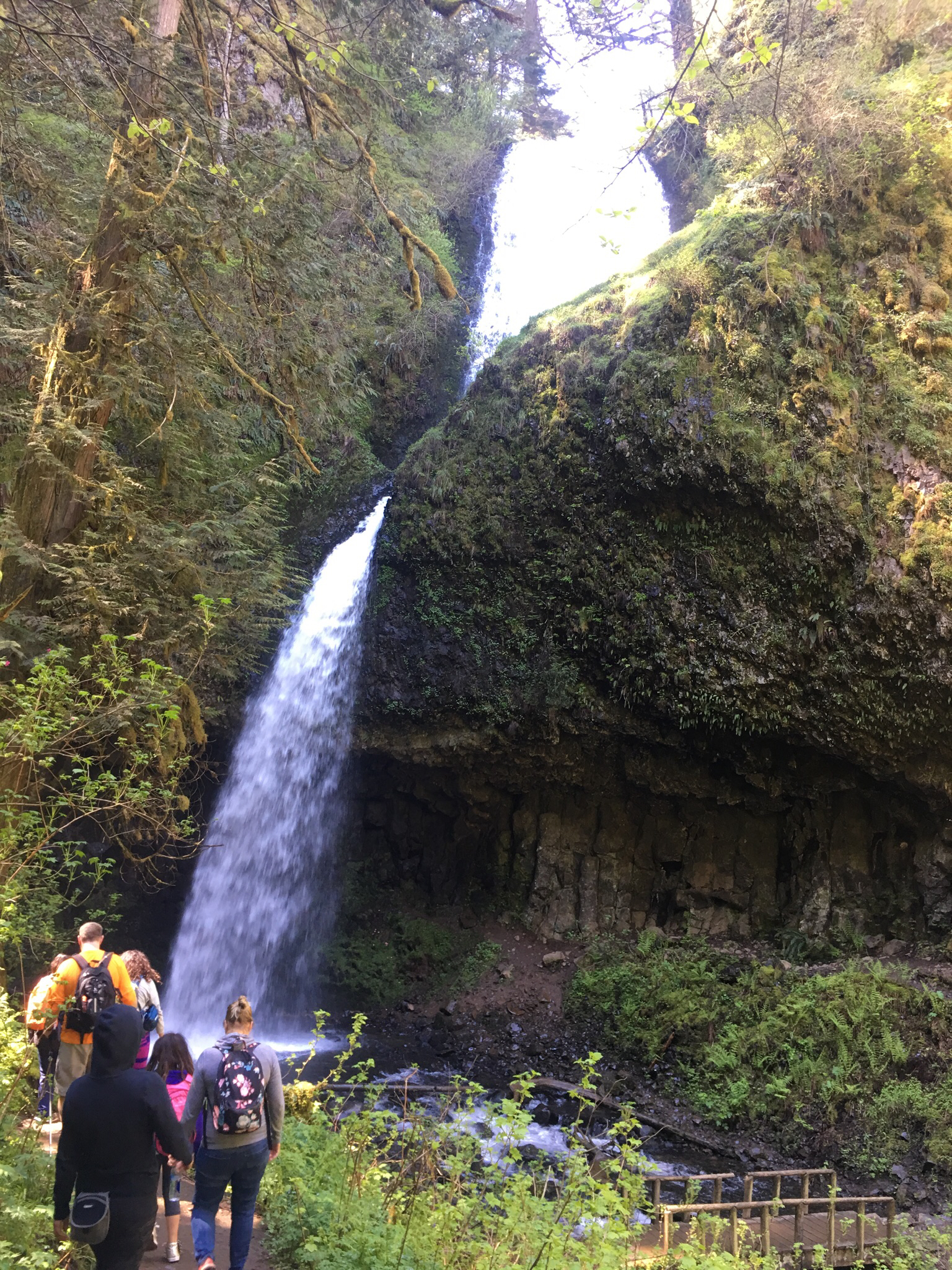 Latourell Falls Loop