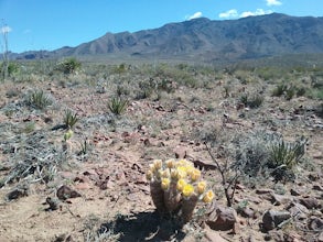 Hike the Mayberry Trail