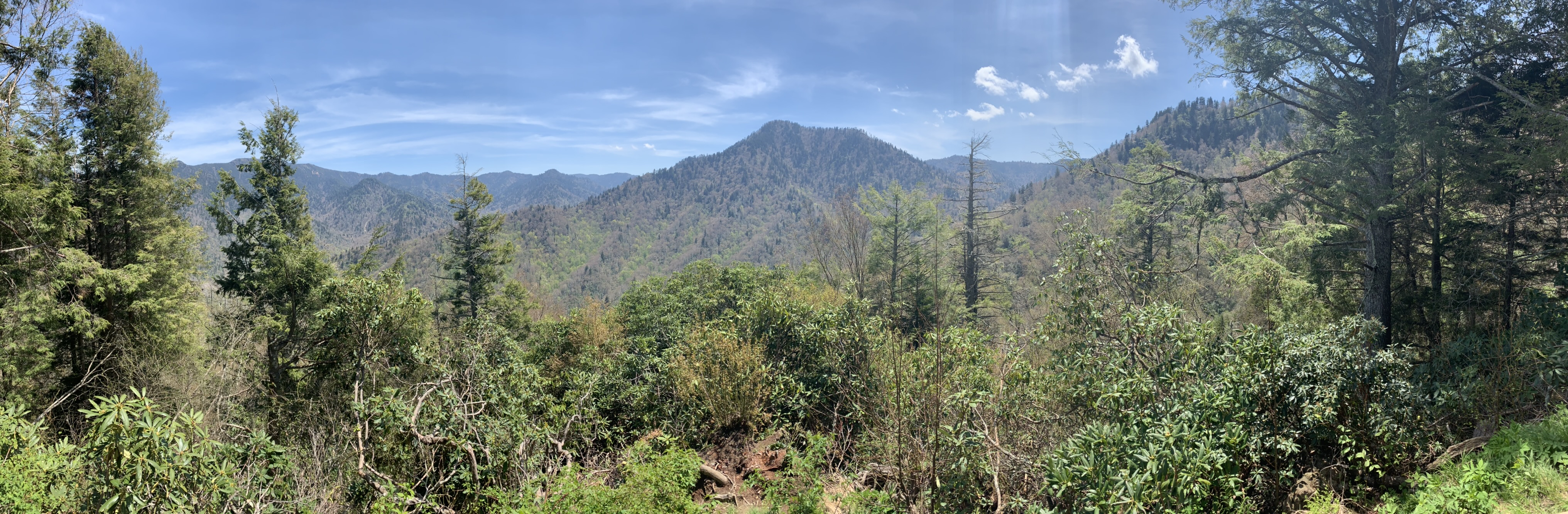 Hike the Chimney Tops