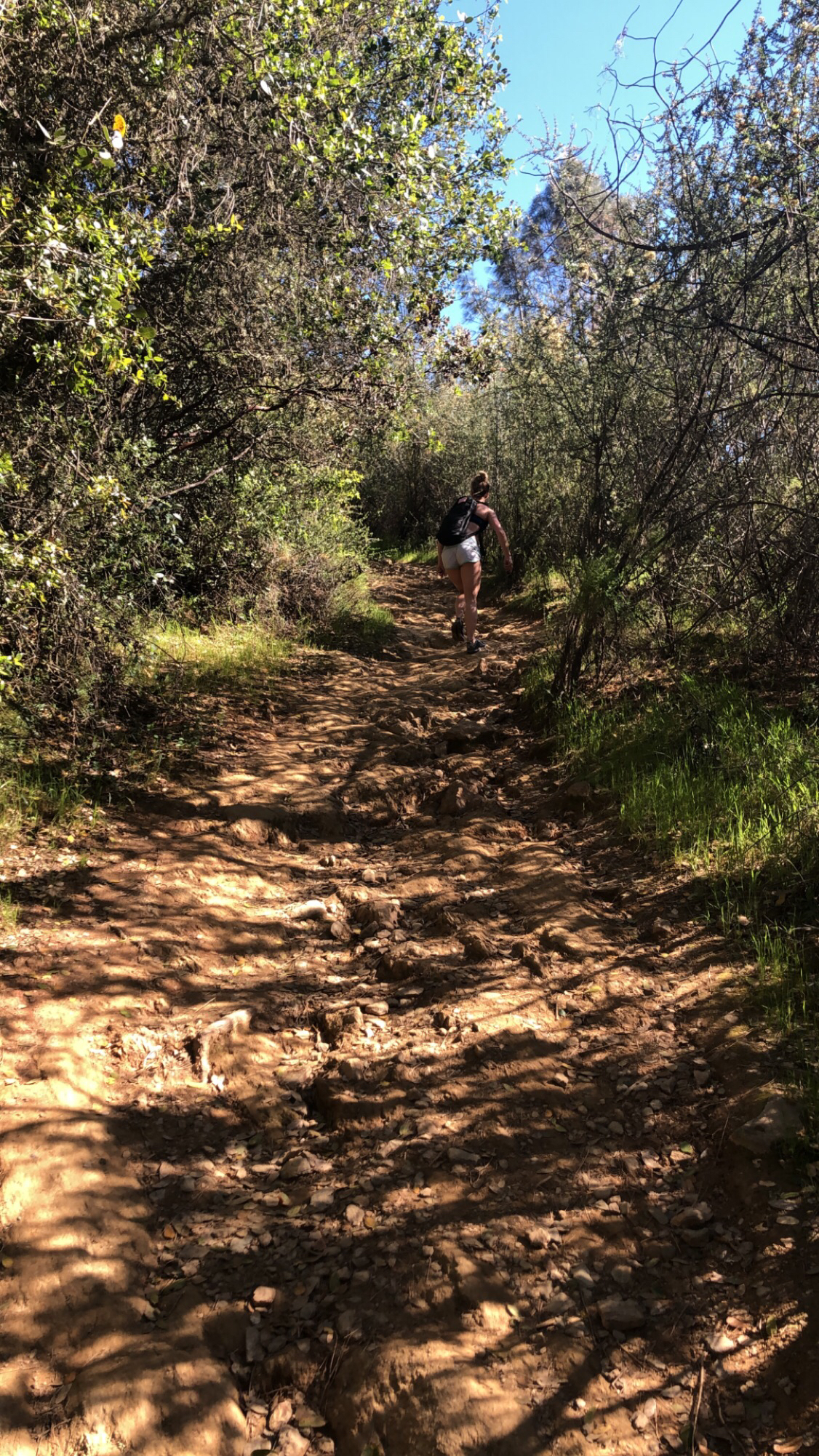 Training Hill