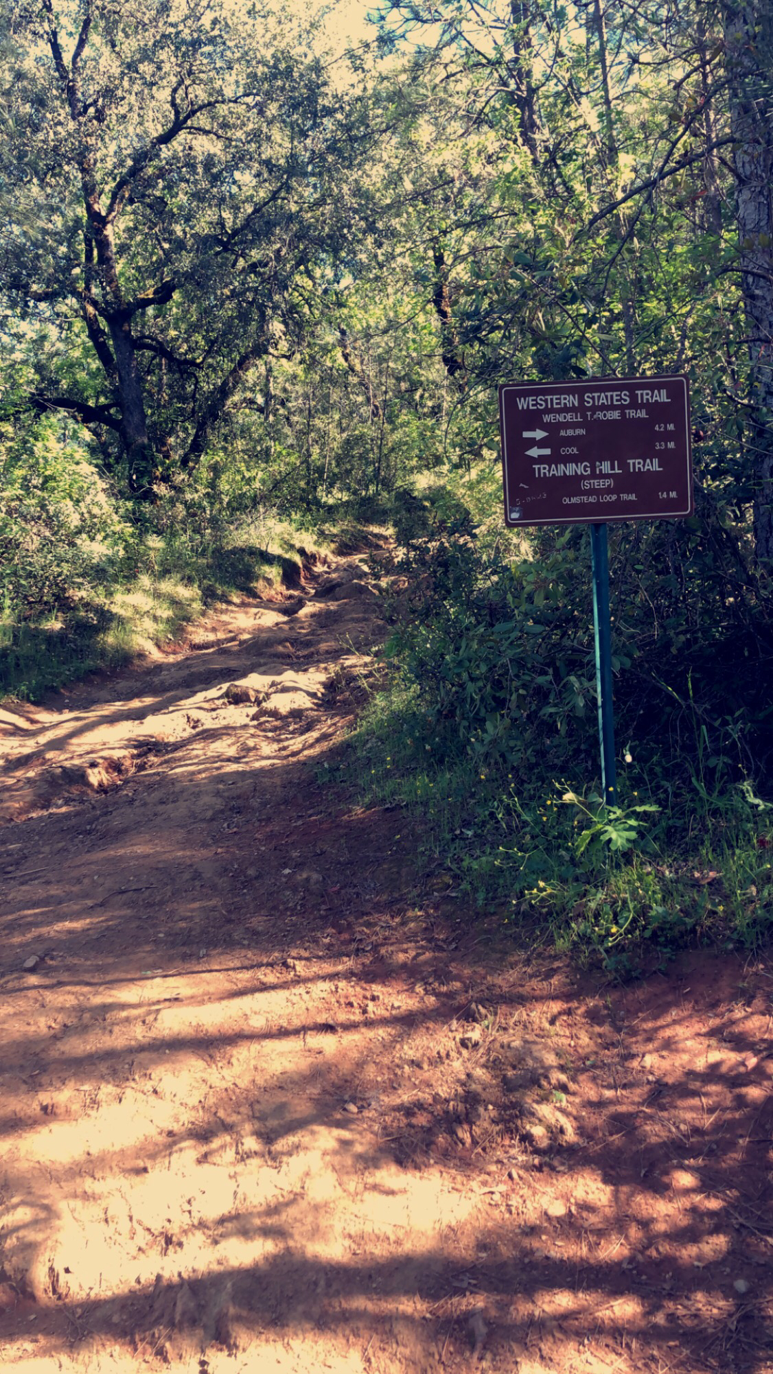 Training Hill