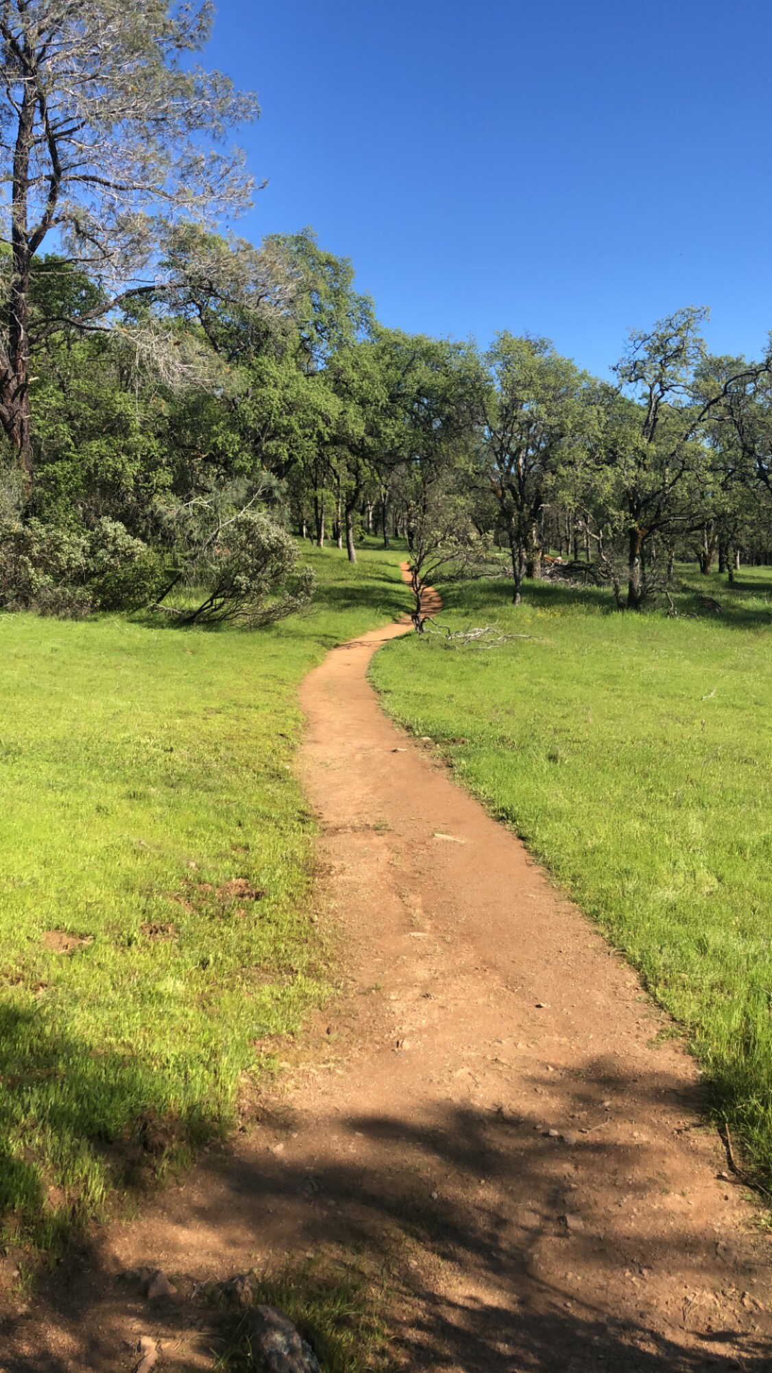 Training Hill