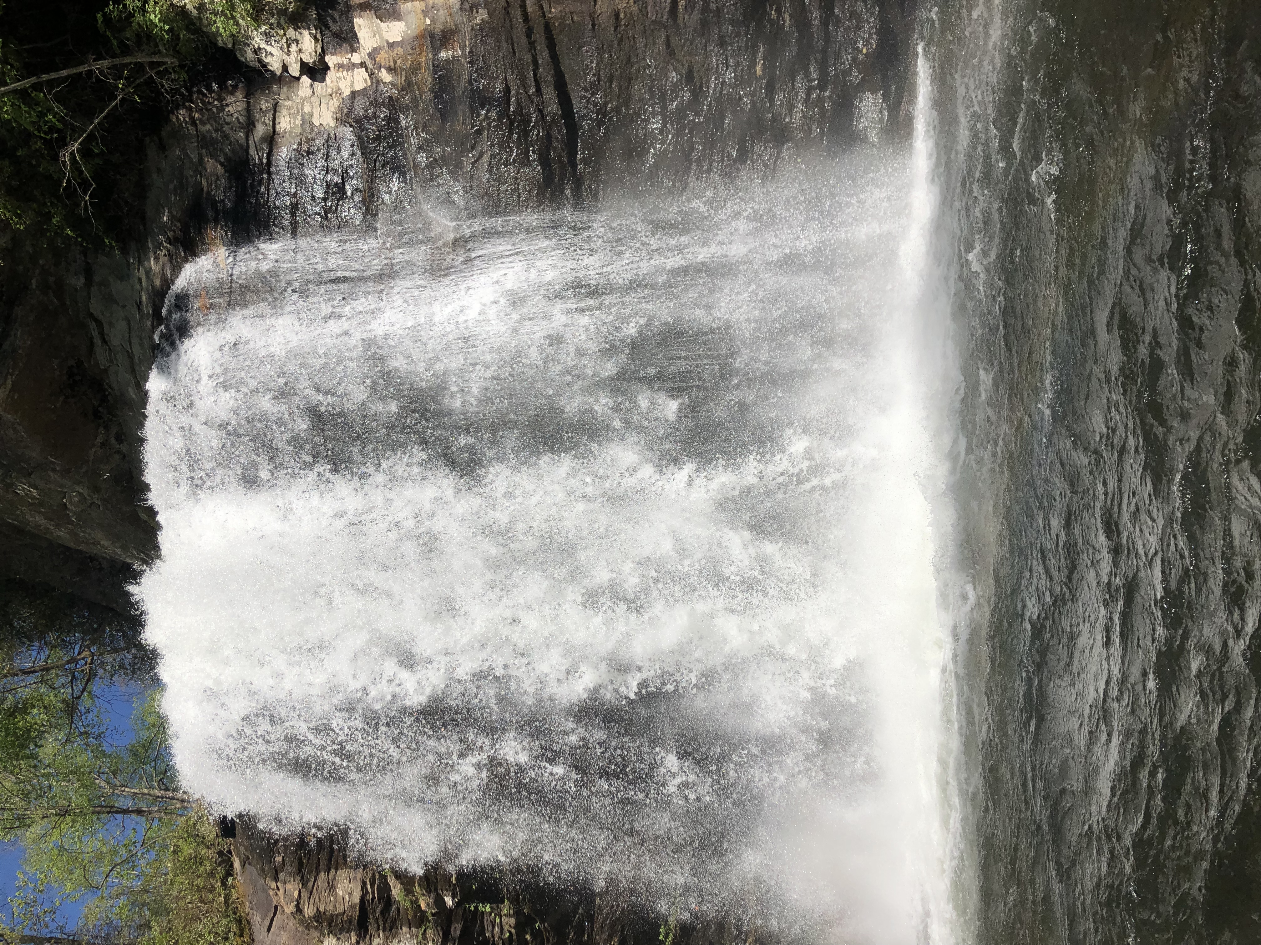 Looking Glass Falls