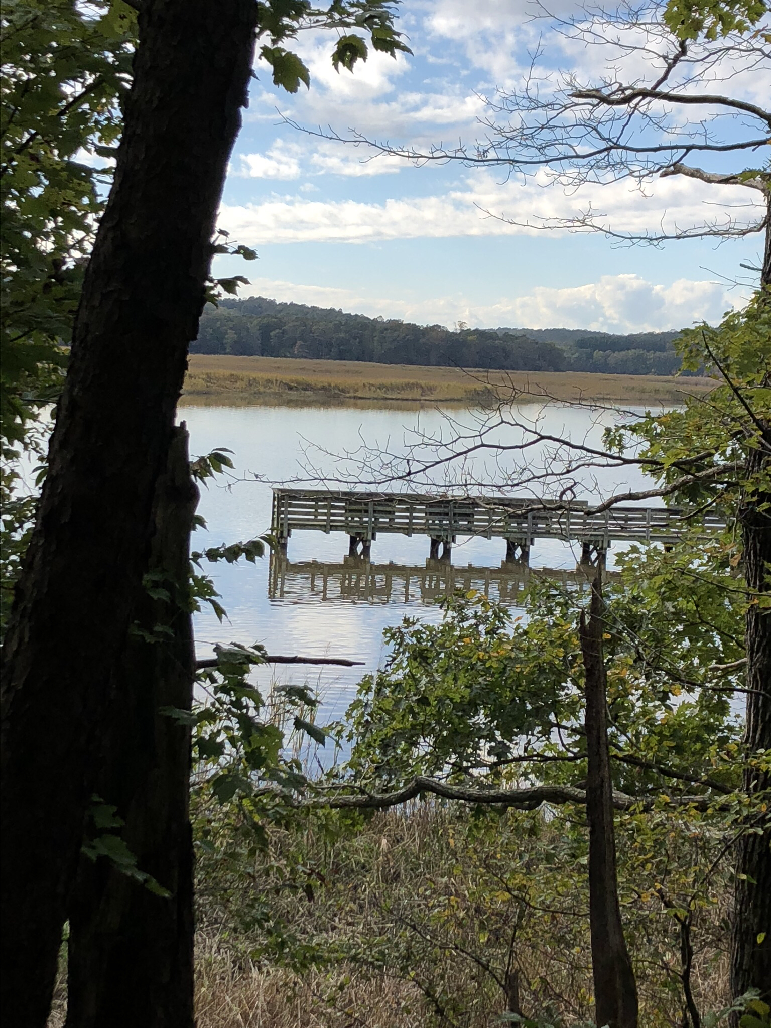 Paddle the Patuxent River through Maryland