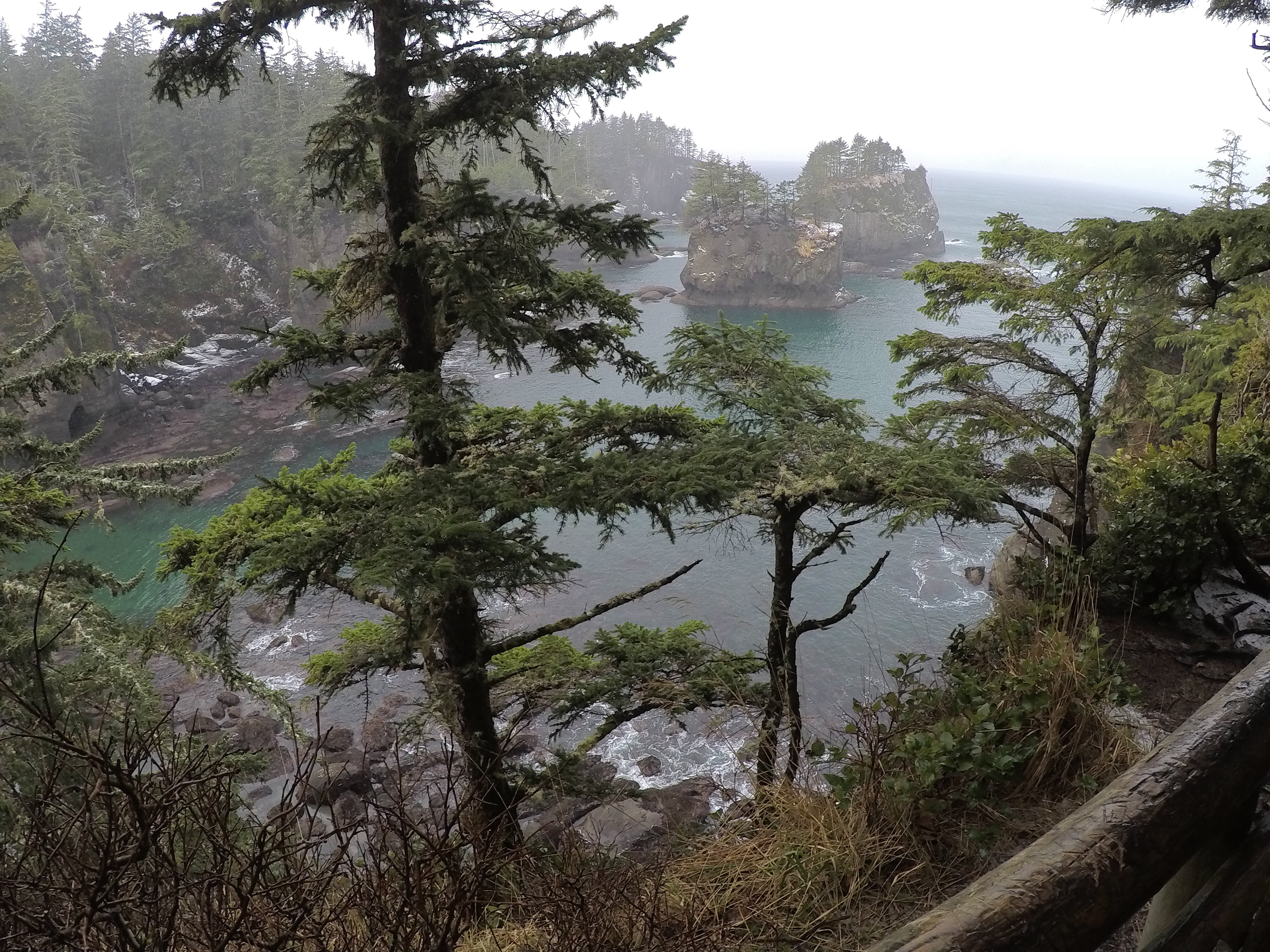 Cape Flattery