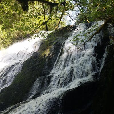 Alsea Falls and Green Peak Falls