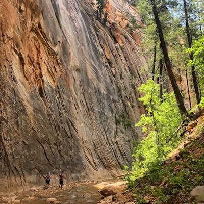 Hike The Narrows: Top Down