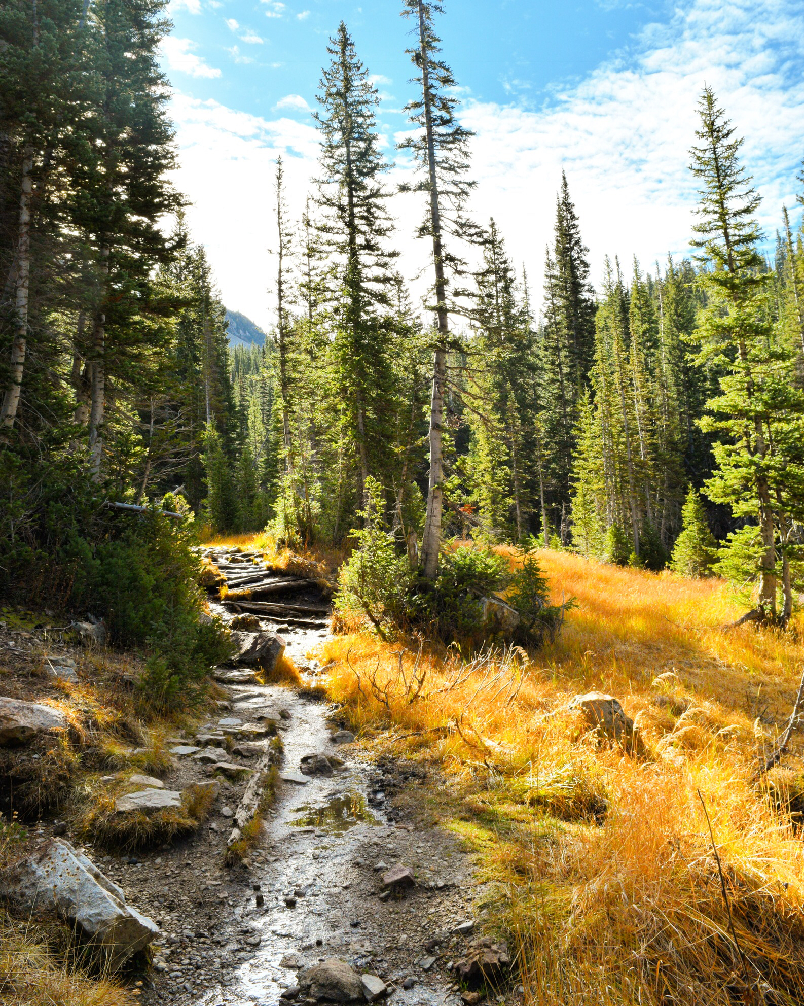 Maybird Lakes (Maybird Gulch)