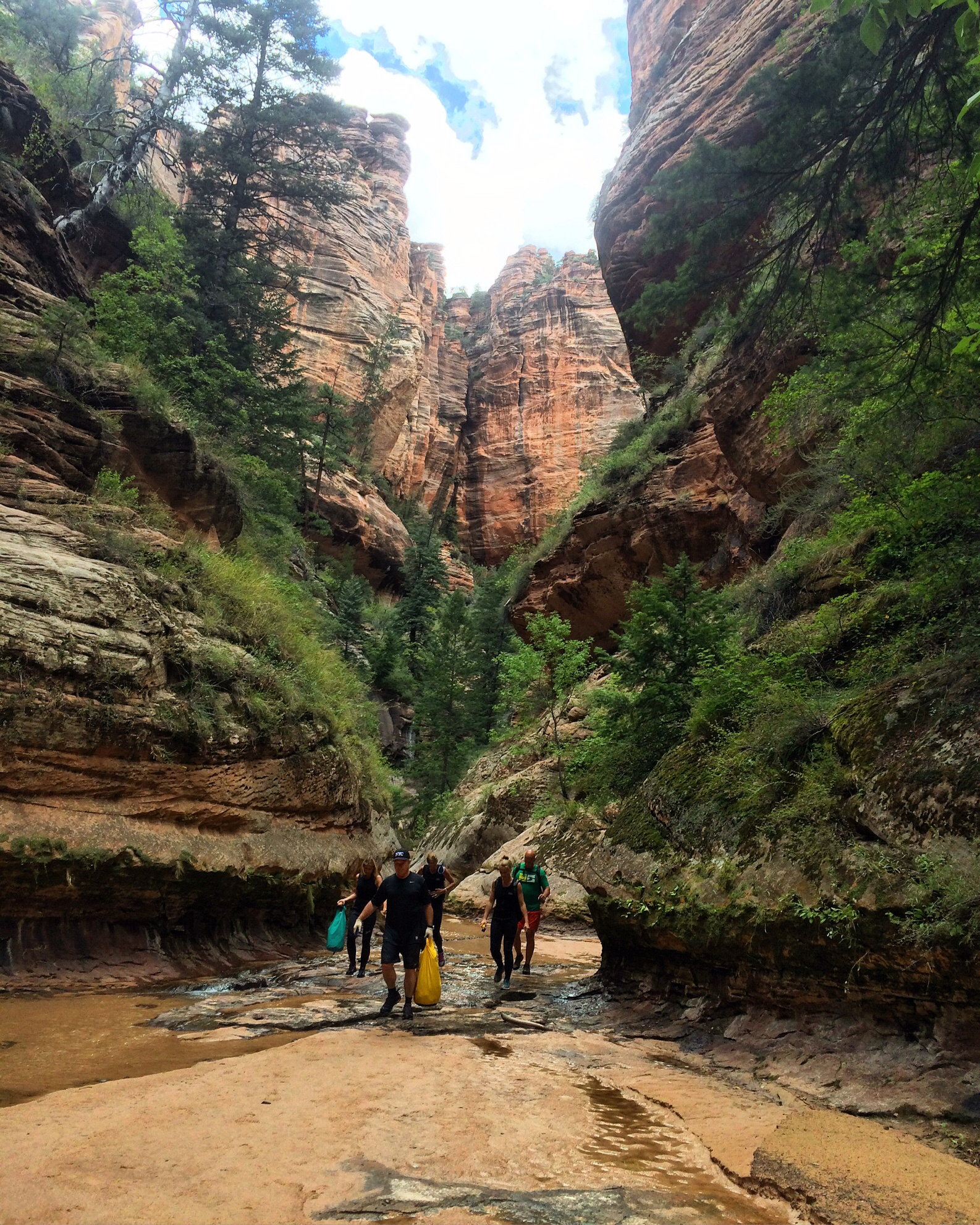 The Subway - Top-Down