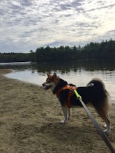 Hike the Ashland Reservoir Trail