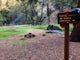 Backpack to Bear Trap Campground