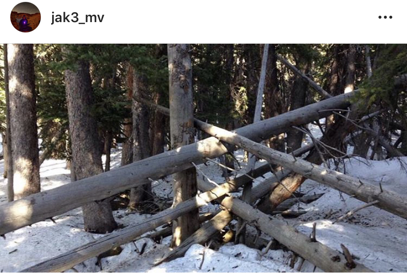 Hike the Bristlecone and Glacier Trail in Great Basin NP