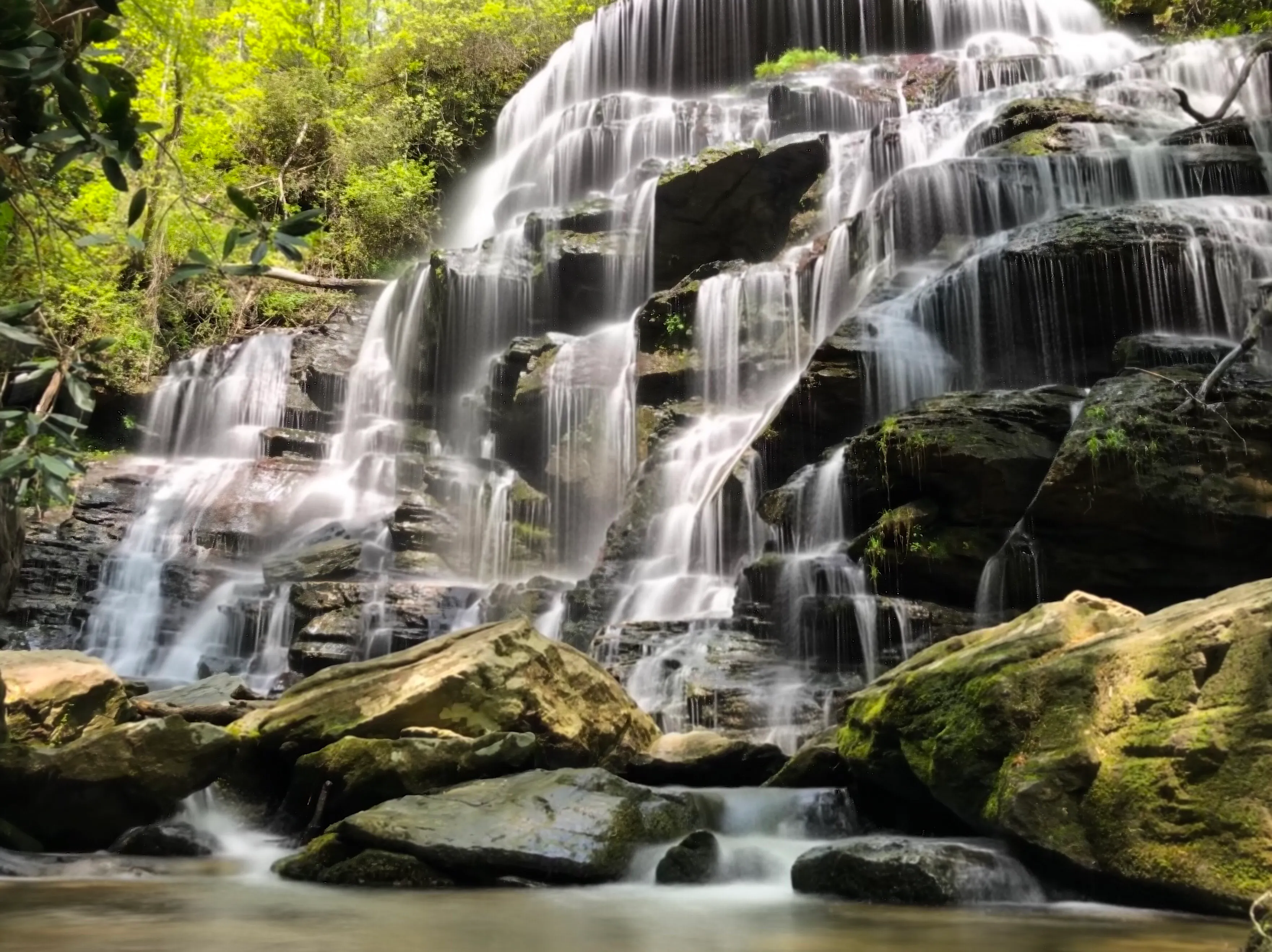 Yellow Branch Falls