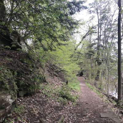 Ledges Trail in Grand Ledge