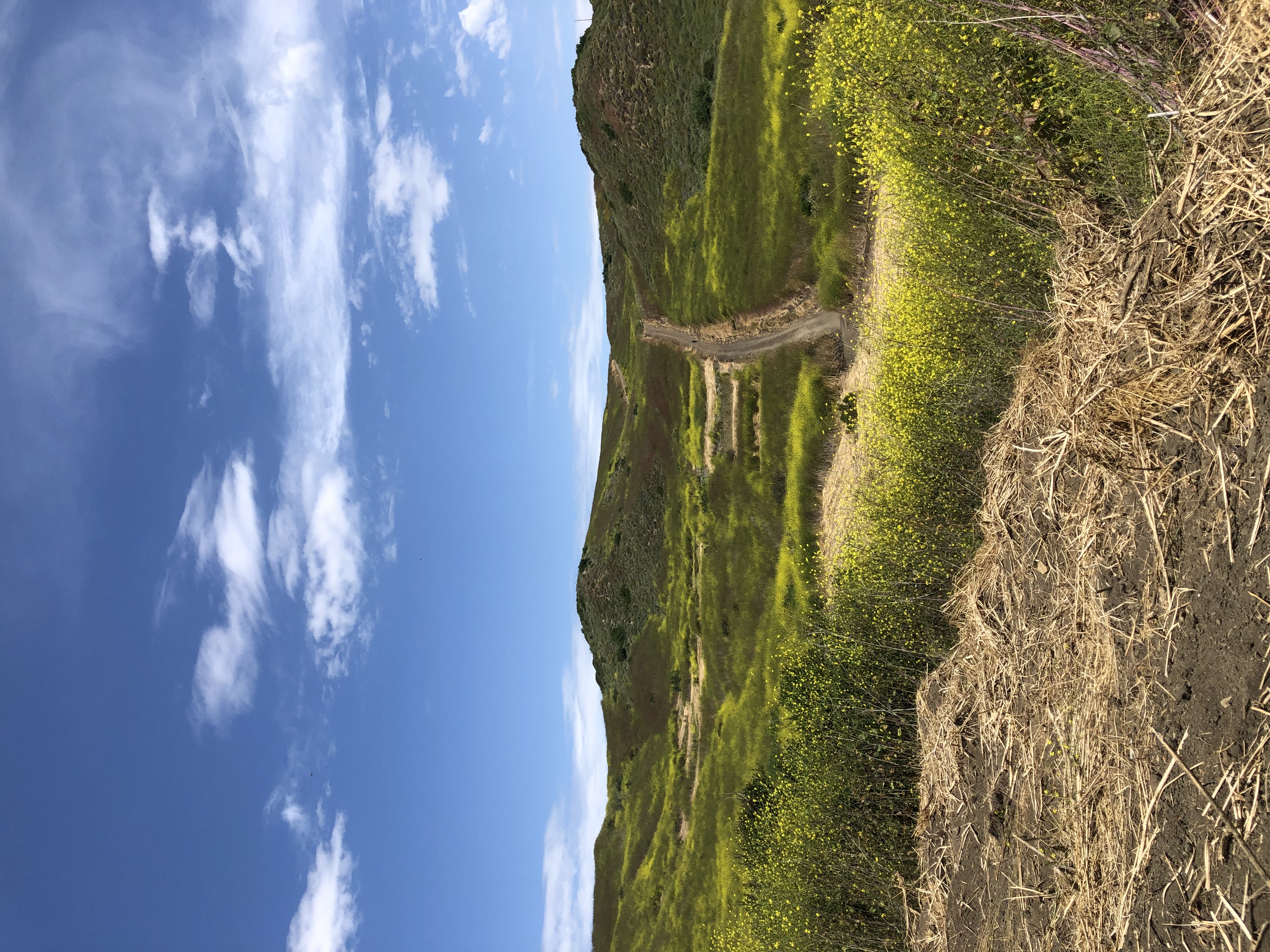 El Moro Canyon Trail 