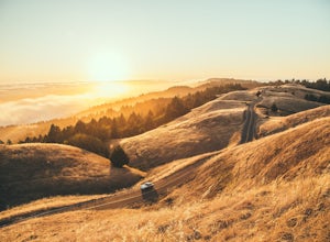 7 Beautiful Spots for Photography in Marin County, CA