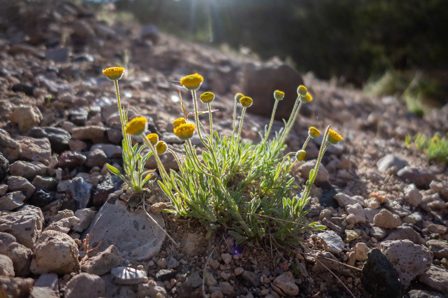 Explore Castle Rock's Slot Canyons
