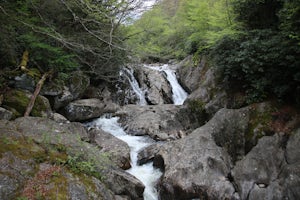 Photograph Sunburst Falls