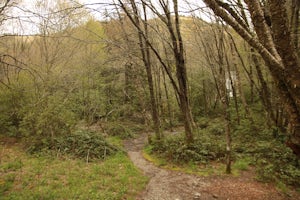 Hike to Bubling Spring Falls