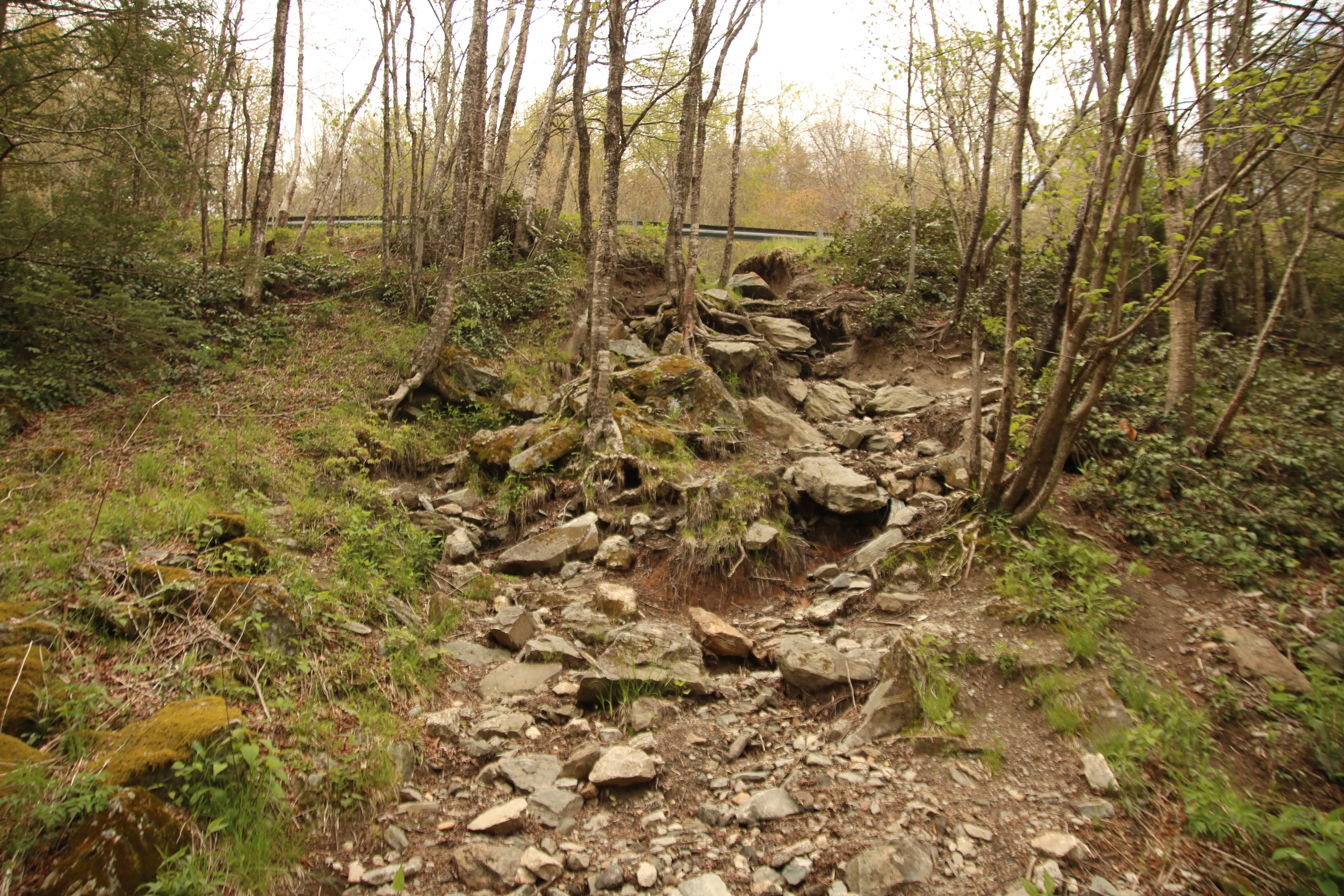 Hike to Bubling Spring Falls
