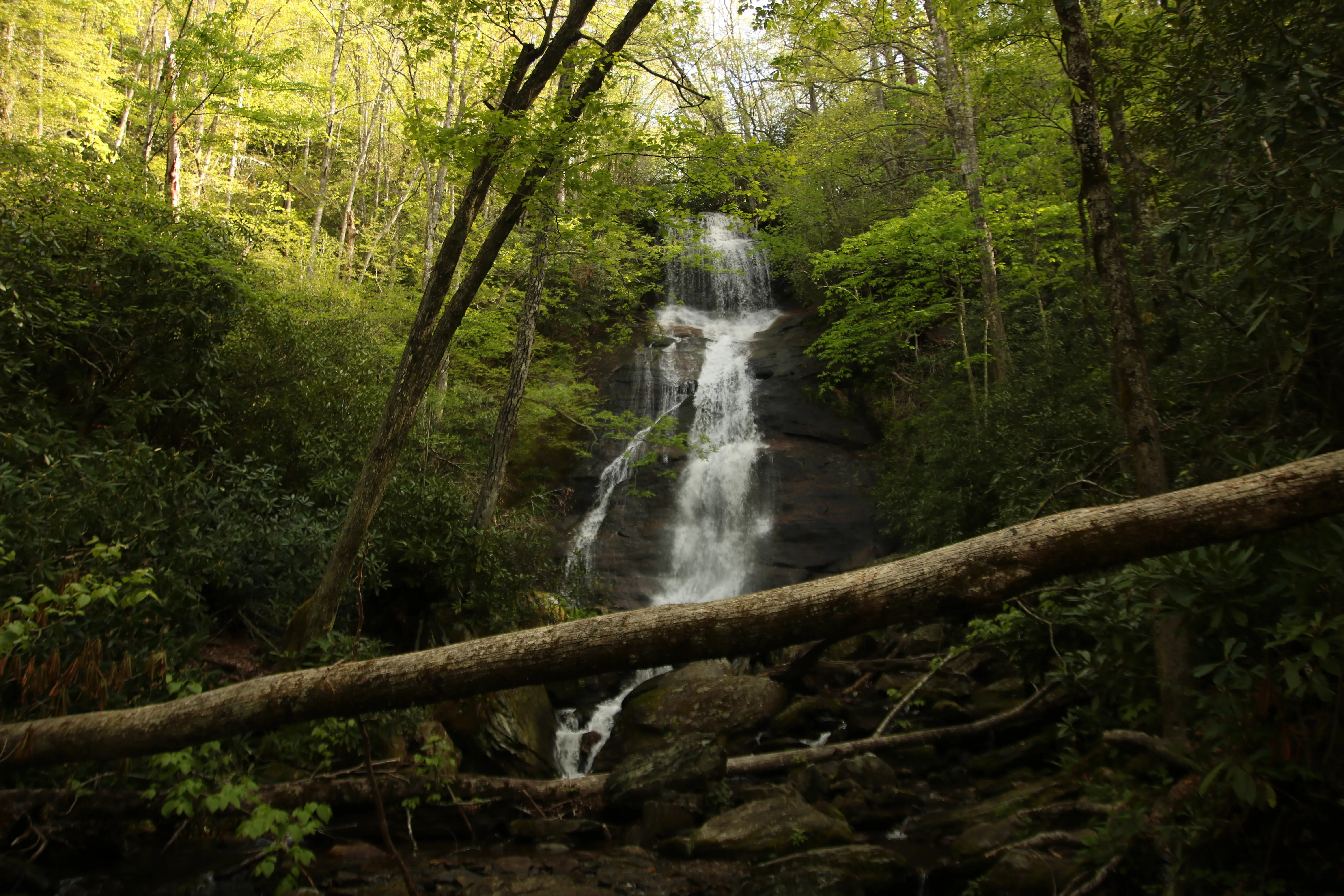 Hike to Dill Falls