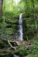 Hike to Little Fall Branch falls