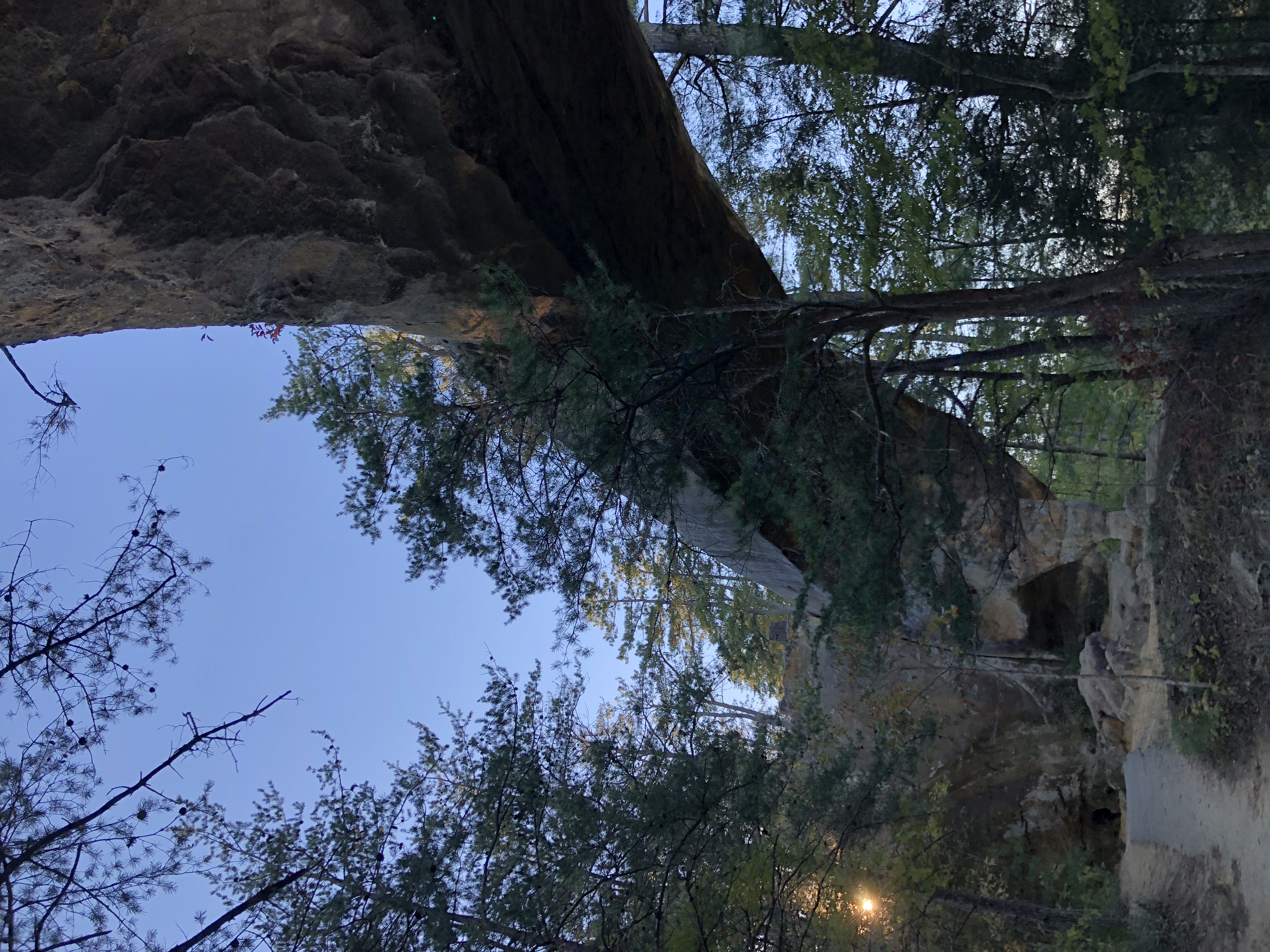 Sky Bridge Loop