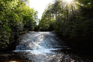 Hike to Granny Burrell Falls