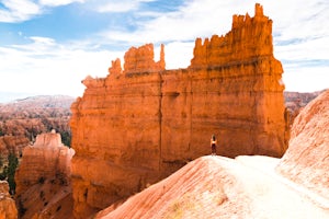 A Sea of Orange in Bryce Canyon